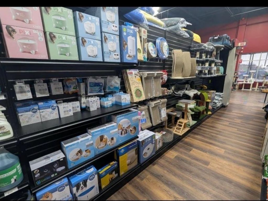 Franchise PITOU MINOU ET COMPAGNONS � vendre