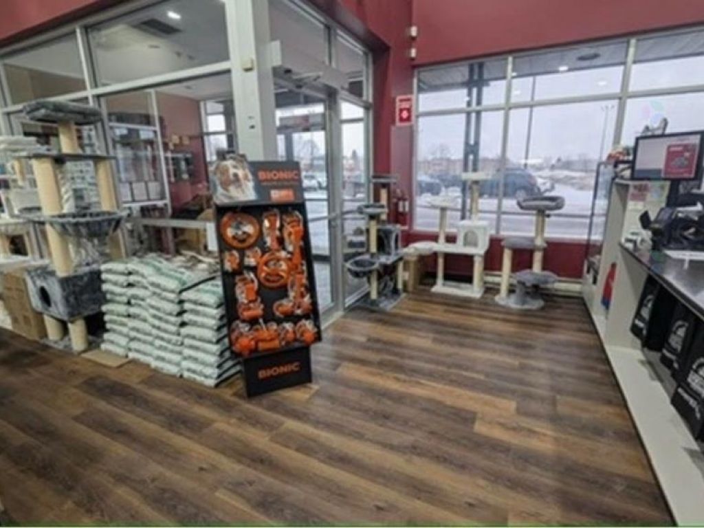 Franchise PITOU MINOU ET COMPAGNONS � vendre