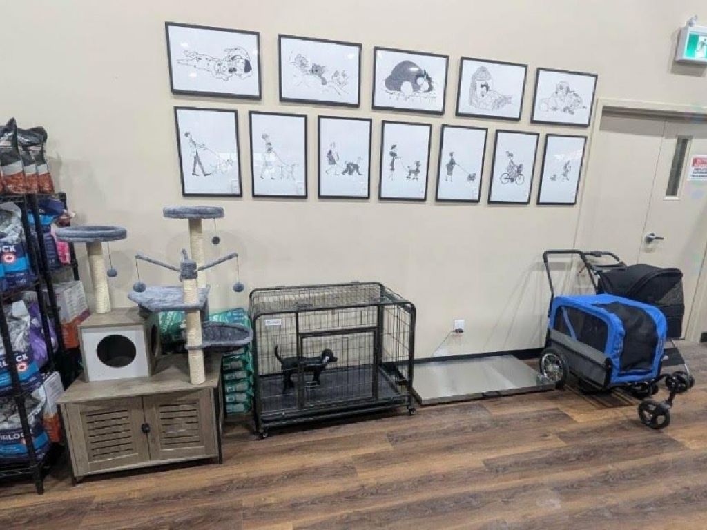 Franchise PITOU MINOU ET COMPAGNONS � vendre