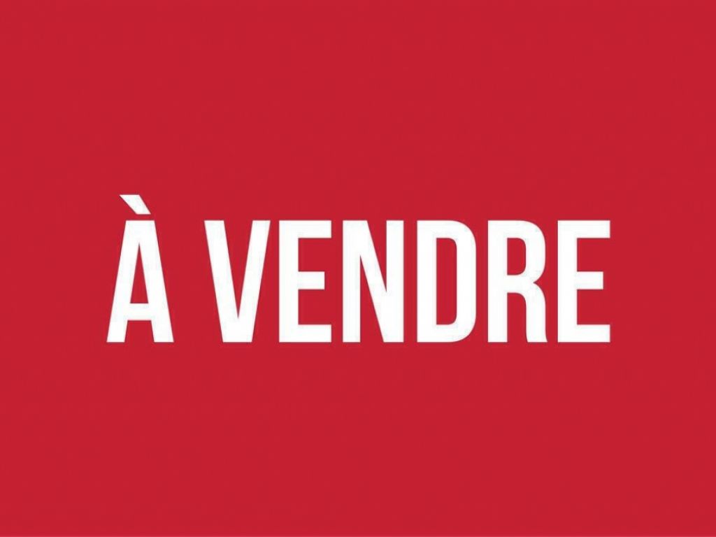 � vendre - D�panneur Formule-1