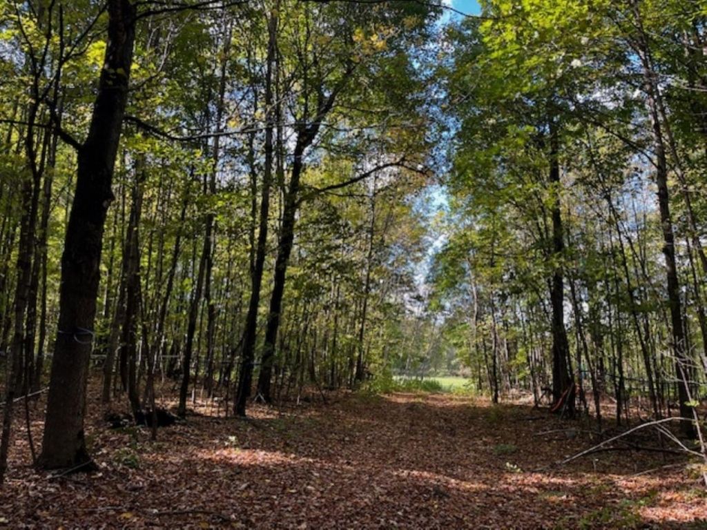 Terre agricole de 67 acres � vendre � Mirabel