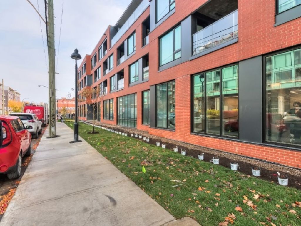 Espace commercial neuf � louer, Pointe-Saint-Charles