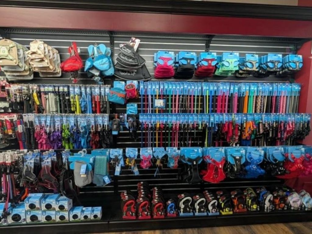 Franchise PITOU MINOU ET COMPAGNONS � vendre