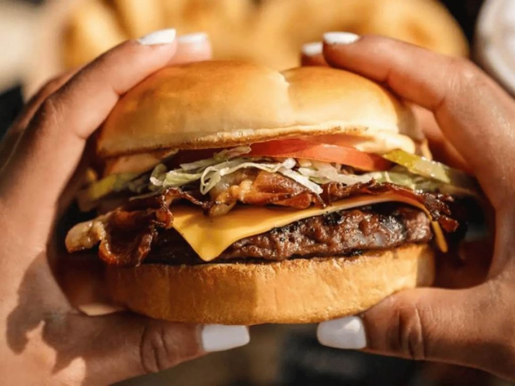 Franchise nationale de restauration rapide � vendre